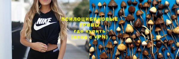гашик Баксан