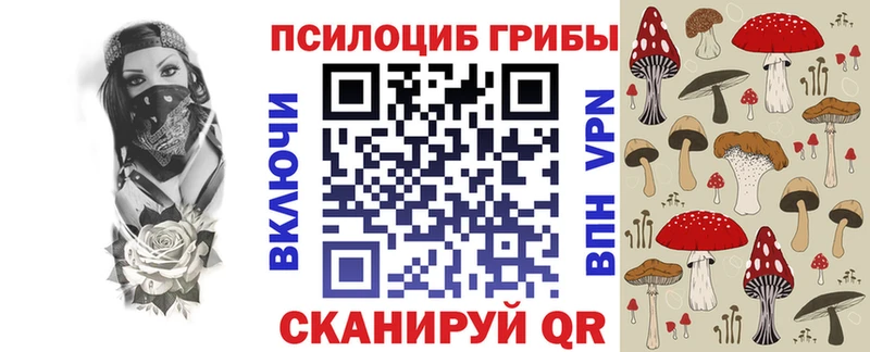 Псилоцибиновые грибы GOLDEN TEACHER  ОМГ ОМГ ТОР  Чистополь  сколько стоит 